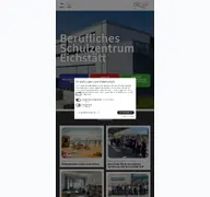 Kleine Seitenvorschau von bsz-ei.de