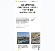Kleine Seitenvorschau von aspern-seestadt.at