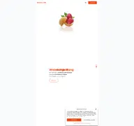 Kleine Seitenvorschau von magicline.ch