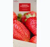 Kleine Seitenvorschau von lehners-beeren.at