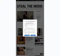 Kleine Seitenvorschau von stealthelook.com.br