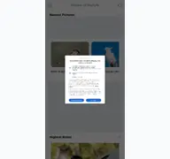 Kleine Seitenvorschau von shengboglobal.com