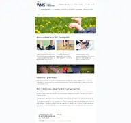 Kleine Seitenvorschau von wms-schuh.de