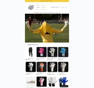 Kleine Seitenvorschau von owl-gloves.de