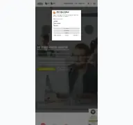 Kleine Seitenvorschau von webweisend.de