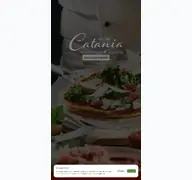 Kleine Seitenvorschau von pizzeria-catania.de