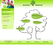 Kleine Seitenvorschau von buchholzer-waldschule.de