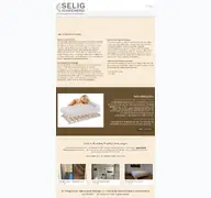Kleine Seitenvorschau von schreinerei-selig.de