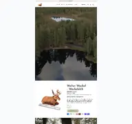 Kleine Seitenvorschau von wackelelch.de