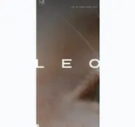 Kleine Seitenvorschau von leo-pharma.at