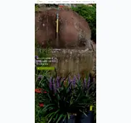 Kleine Seitenvorschau von staudengaertnerei-eidmann.de