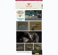 Kleine Seitenvorschau von galgo-store.de