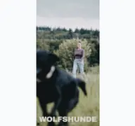 Kleine Seitenvorschau von wolfs-hunde.de