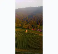 Kleine Seitenvorschau von britzinger-wein.de