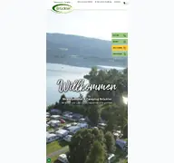 Kleine Seitenvorschau von brueckler.co.at