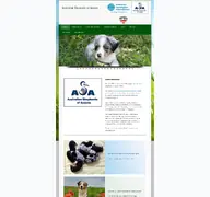 Kleine Seitenvorschau von australianshepherds.at