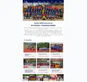 Kleine Seitenvorschau von sgdshandball.de