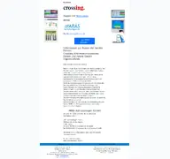 Kleine Seitenvorschau von crossing.de