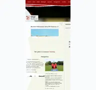 Kleine Seitenvorschau von tsvwustrau.de