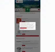 Kleine Seitenvorschau von rathaus.pfronten.de