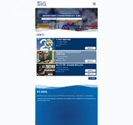 Kleine Seitenvorschau von wt-arena.de