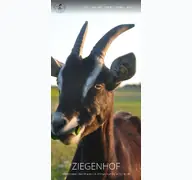 Kleine Seitenvorschau von wurzeln-hoerner.de