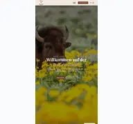 Kleine Seitenvorschau von buffalo-ranch.de