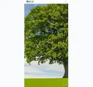 Kleine Seitenvorschau von buk-burgenlandkreis.de