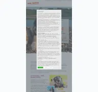 Kleine Seitenvorschau von nina-hammig.de