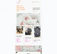 Kleine Seitenvorschau von nestling-erfurt.de