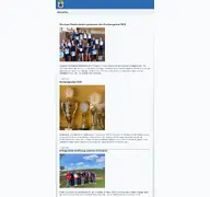 Kleine Seitenvorschau von rmsv-orsingen.de