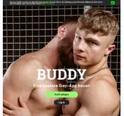 Kleine Seitenvorschau von buddy.net