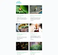 Kleine Seitenvorschau von blog.inga-palme.de