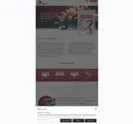 Kleine Seitenvorschau von bundesverband-bestattungsbedarf.de