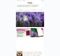 Kleine Seitenvorschau von engelmagazin.de