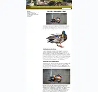 Kleine Seitenvorschau von enten-haltung.de