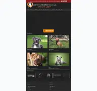 Kleine Seitenvorschau von listenhunde-nothilfe.de