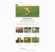 Kleine Seitenvorschau von hundetraining-nau.de