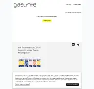 Kleine Seitenvorschau von stellen.gasunie.de