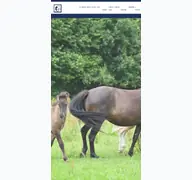 Kleine Seitenvorschau von gangpferdezentrum.de