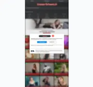 Kleine Seitenvorschau von livesex-schweiz.ch