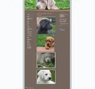 Kleine Seitenvorschau von labrador-of-silverpearls.de