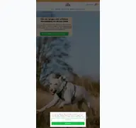 Kleine Seitenvorschau von dog-native.de