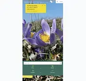 Kleine Seitenvorschau von burgenlandflora.at