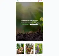 Kleine Seitenvorschau von magicofnature.de