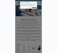 Kleine Seitenvorschau von trinexus.at