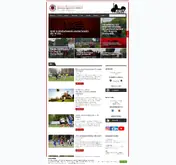 Kleine Seitenvorschau von dresdner-sc.de