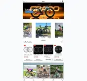 Kleine Seitenvorschau von icancycling.de