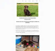 Kleine Seitenvorschau von labradorzucht-hille-nrw.de