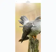 Kleine Seitenvorschau von kuckucksdiele-gera.de